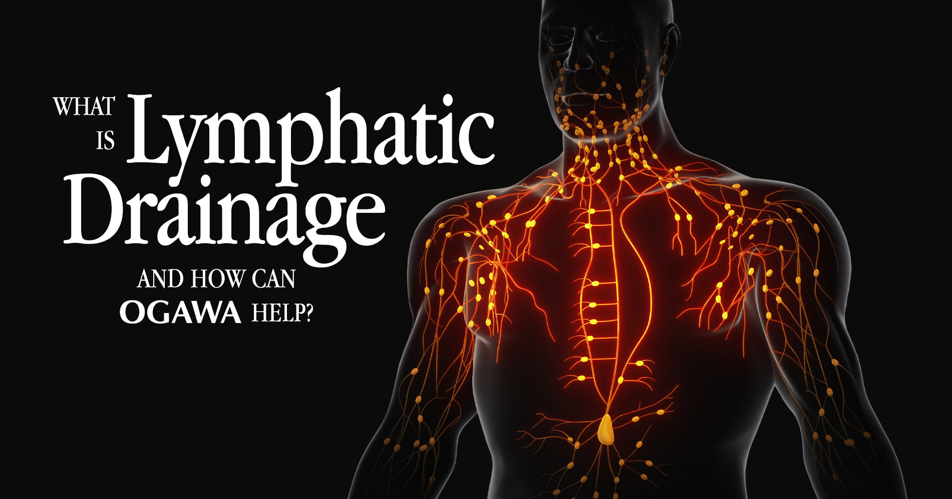 Massage-Induced Lymphatic Drainage: What It Really Means and How It Can Help You Feel Better