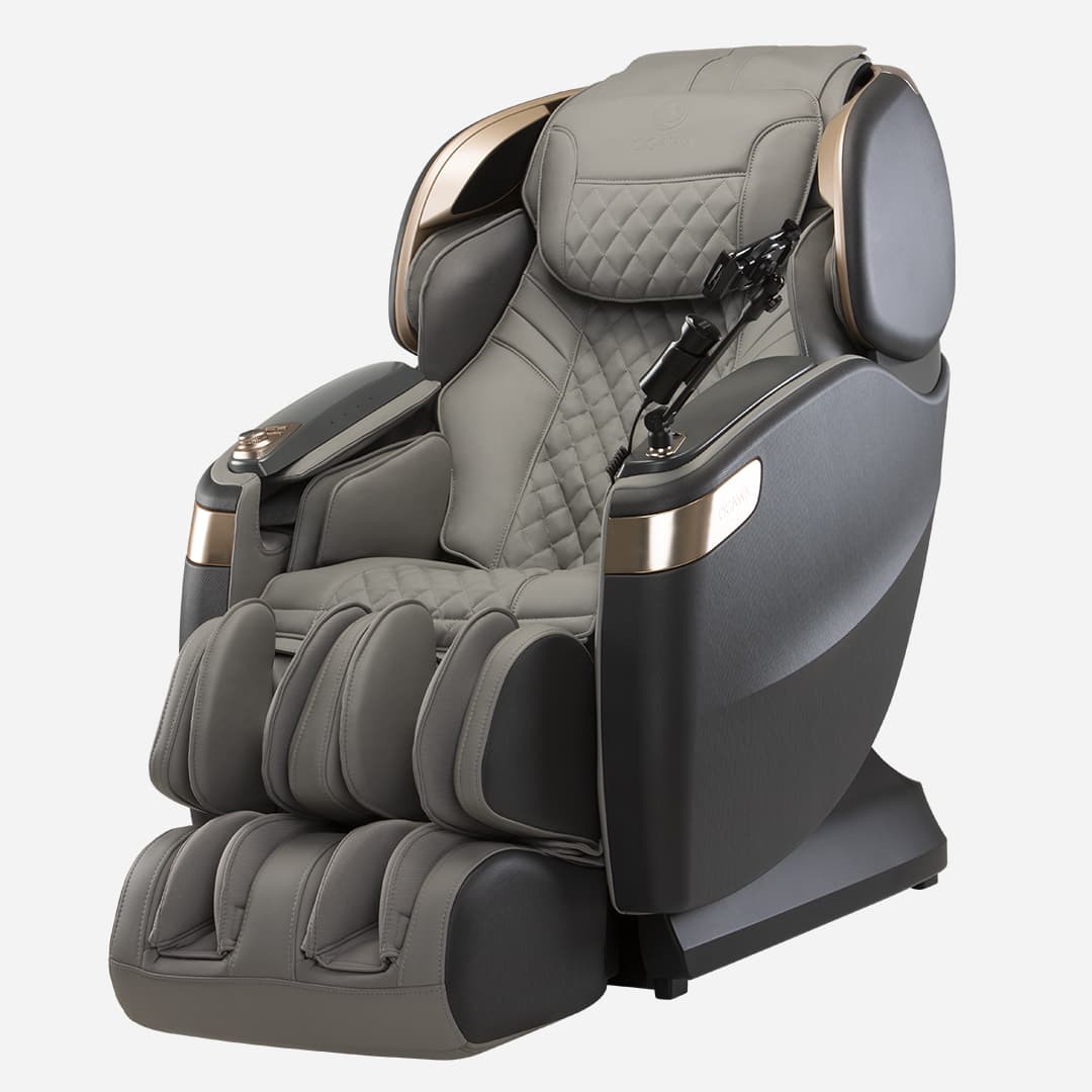 Master Drive AI in Gray and black color