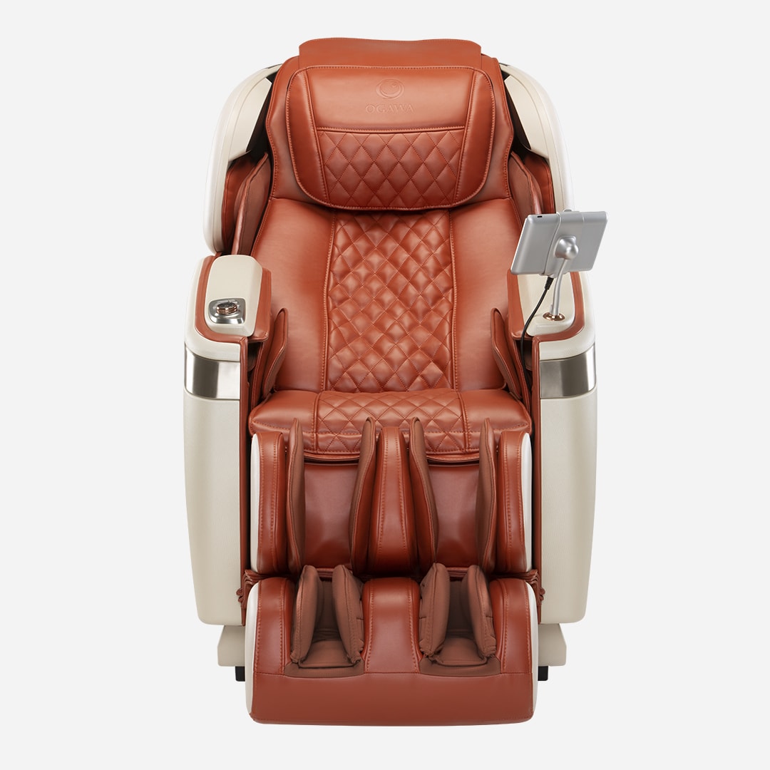 Master Drive Plus OGAWA Philippines